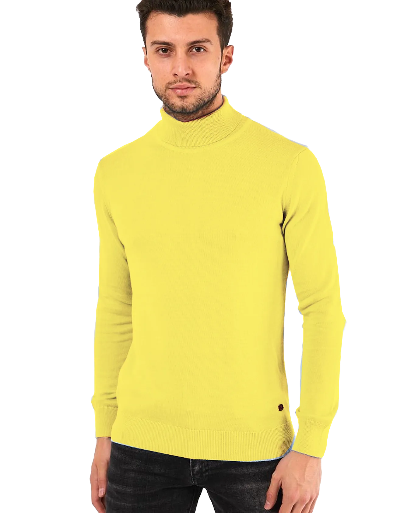 VERCINI TURTLENECKS