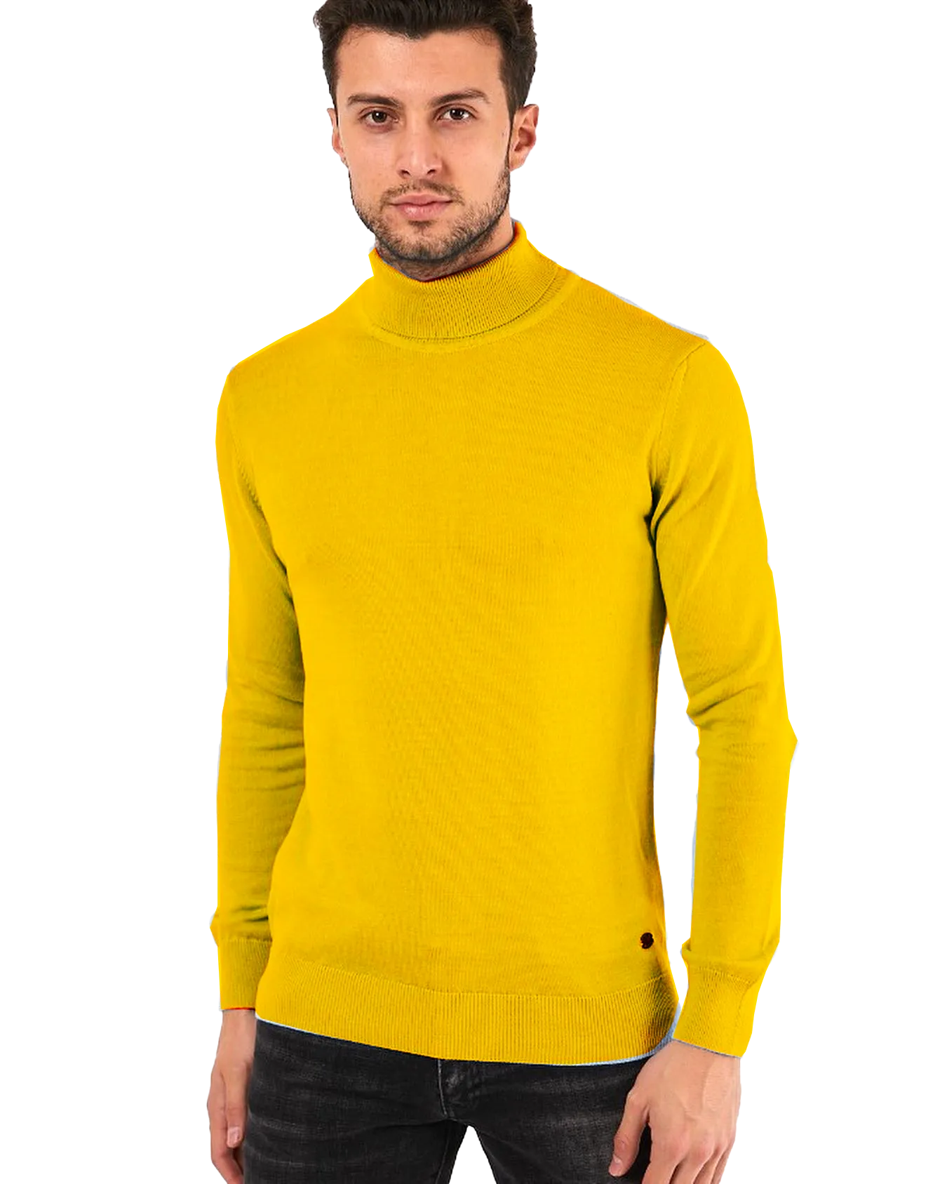 VERCINI TURTLENECKS